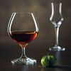 Набор бокалов для бренди Spirits, 6 шт, 700 мл, D113 мм, H166 мм, Chef&Sommelier, фото 