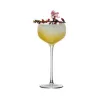 Набор из 6-ти бокалов для коктейля "Aster", серия Cocktail Week, 160 мл, P.L. Proff Cuisine, фото 