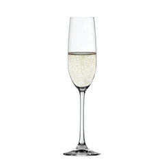 Бокал для шампанского Salute Champagne Glass, 1 шт., 210 мл, 4720175, Spiegelau, фото 