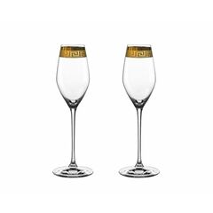 Набор фужеров Champagne Glass, Muse, 2 шт., хрустальное стекло, Nachtmann, фото 