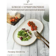 Блюдо овальное 32х20 см, Seasons Бежевый, Porland, фото 