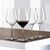 Набор бокалов Authentis Red Wine / Water Goblet, 12 шт., 480 мл, бессвинцовый хрусталь, Spiegelau, фото , изображение 3
