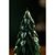 Свеча декоративная Festive flame из коллекции New Year Essential, 12 см, Tkano, фото , изображение 4