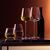 Набор из 2 бокалов для белого вина Wine Culture 690 мл, LSA International, фото , изображение 4