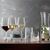 Набор из 12-ти стаканов Longdrink, 510 мл, хрустальное стекло, серия Lifestyle, Spiegelau, фото , изображение 3