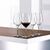 Набор бокалов для дегустации, Authentis Tasting Glass, 12 шт., 320 мл,  4408031, Spiegelau, фото , изображение 3