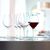 Набор бокалов для дегустации, Authentis Tasting Glass, 12 шт., 320 мл,  4408031, Spiegelau, фото , изображение 5