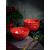 Салатник d 14 см h 7 см 550 мл, Seasons Красный, Porland, фото , изображение 6