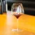 Бокал для вина Vitis Pinot Noir/Nebbiolo, 1 шт., 777 мл, 4303/07, Riedel, фото , изображение 4