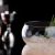 Набор из 6-ти бокалов для коктейля "Cuba", серия Cocktail Week, 520 мл, P.L. Proff Cuisine, фото , изображение 8