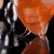 Набор из 6-ти бокалов для коктейля "Havana", серия Cocktail Week, 350 мл, P.L. Proff Cuisine, фото , изображение 8