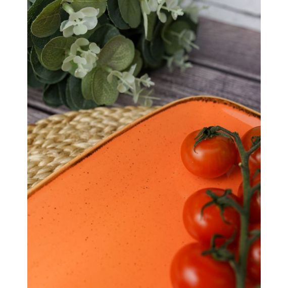 Тарелка прямоугольная 31*18 см, Seasons Оранжевый, Porland, фото , изображение 8