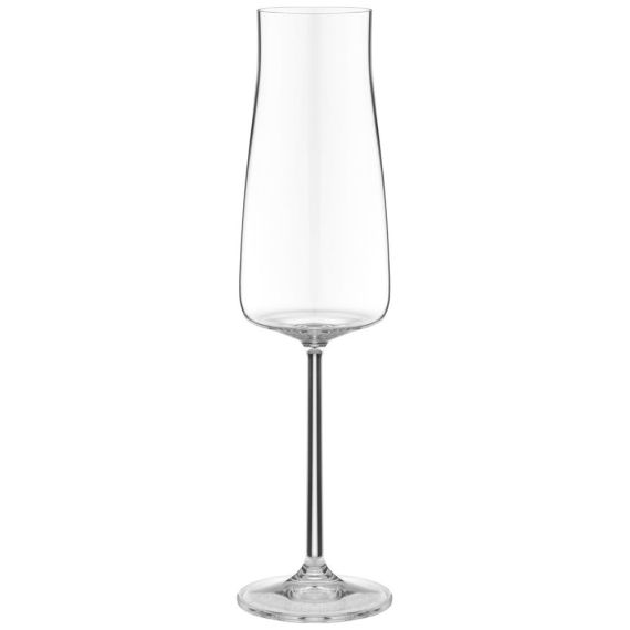 Набор из 6-ти фужеров для шампанского EXCLUSIVE 210 мл, Repast, фото 