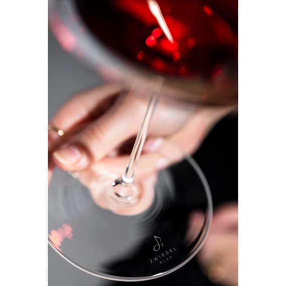 Набор бокалов для шампанского 378 мл, 6 шт, серия Fusion, Schott Zwiesel, фото , изображение 3