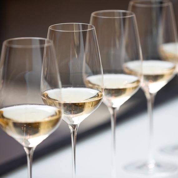 Набор из 6-ти бокалов для белых и шампанских вин Horeca Uba l’Universel, Sydonios, фото , изображение 7